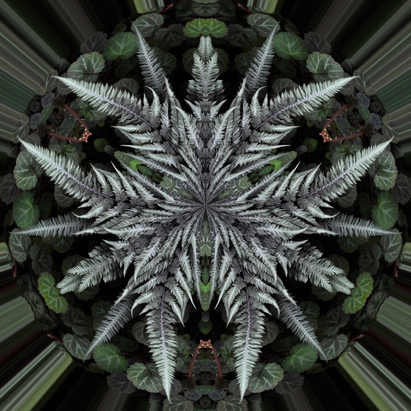 Litle-Planet-027
