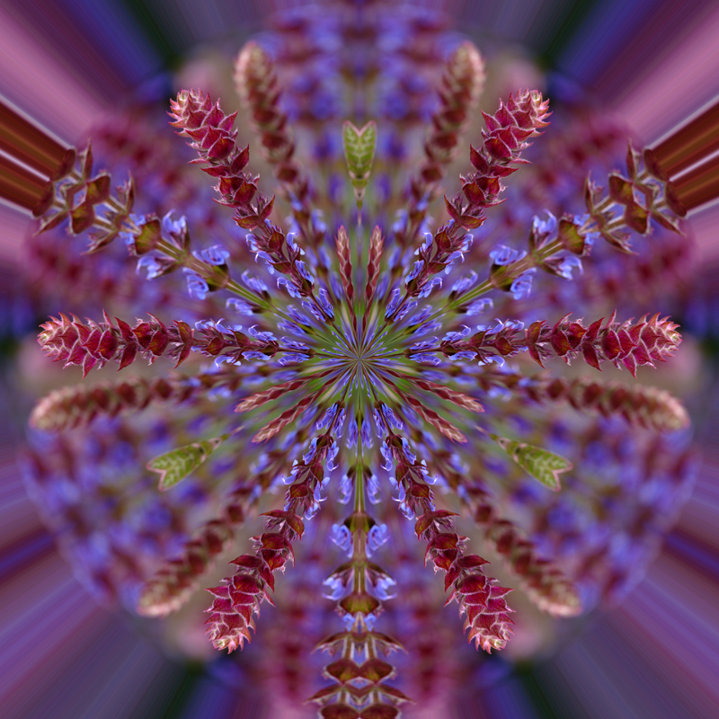Litle-Planet-039