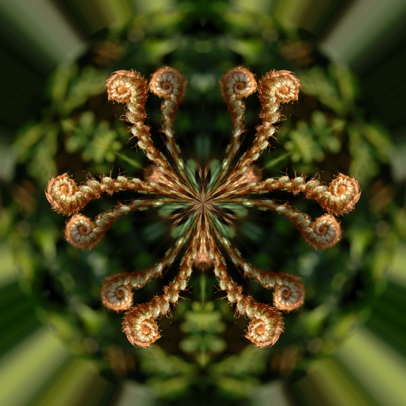 Litle-Planet-046