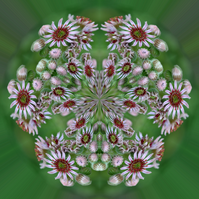Litle-Planet-055