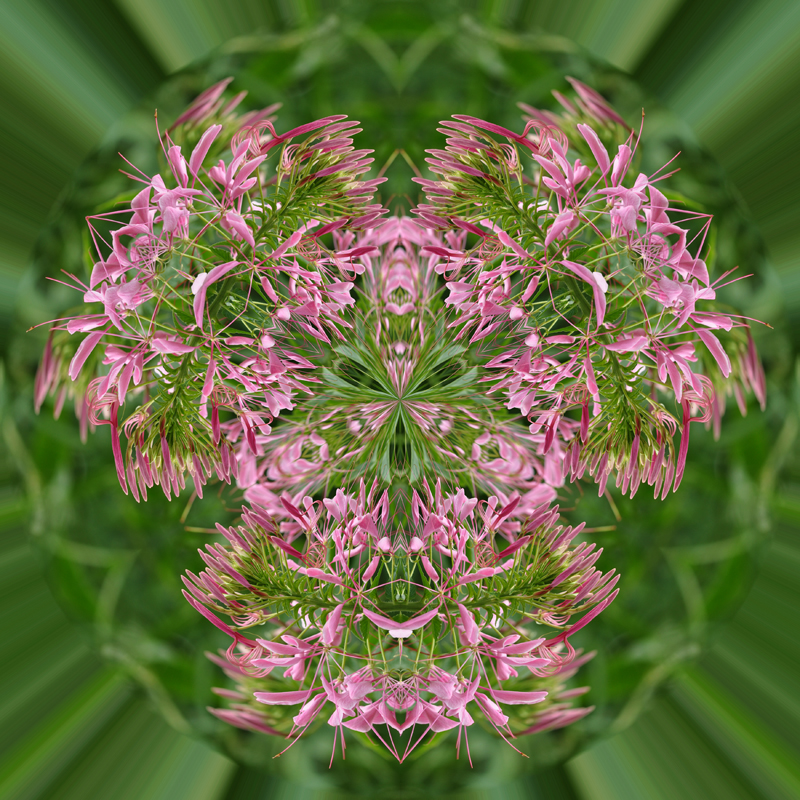 Litle-Planet-060