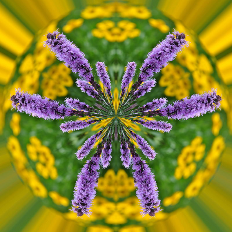 Litle-Planet-062