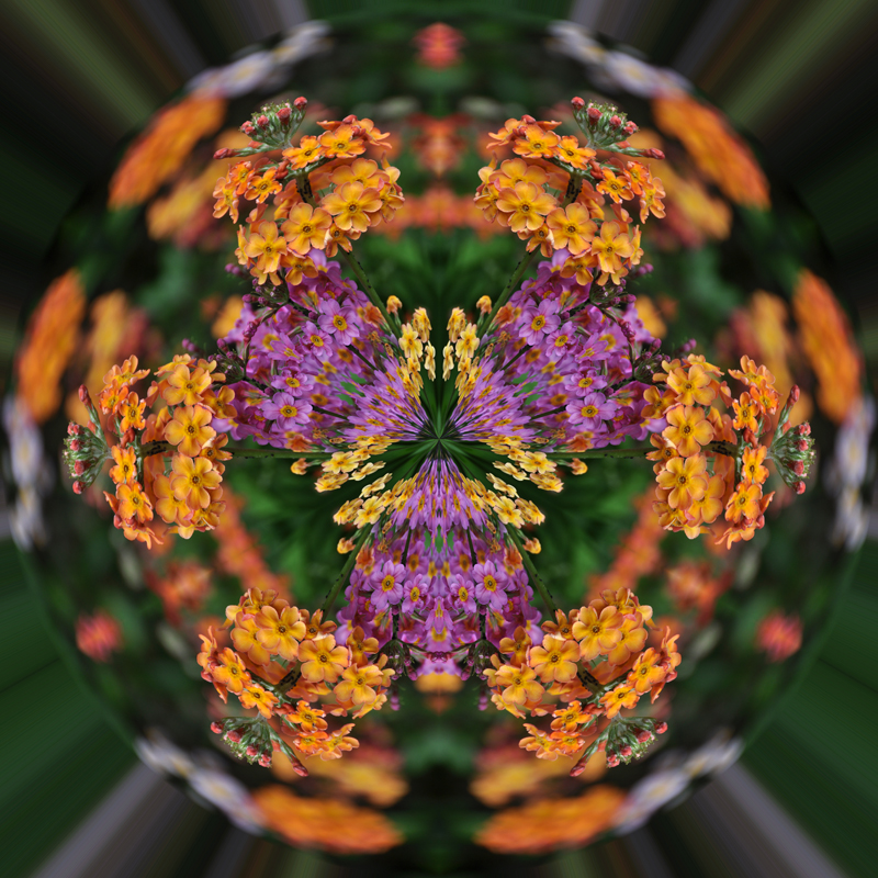 Litle-Planet-076