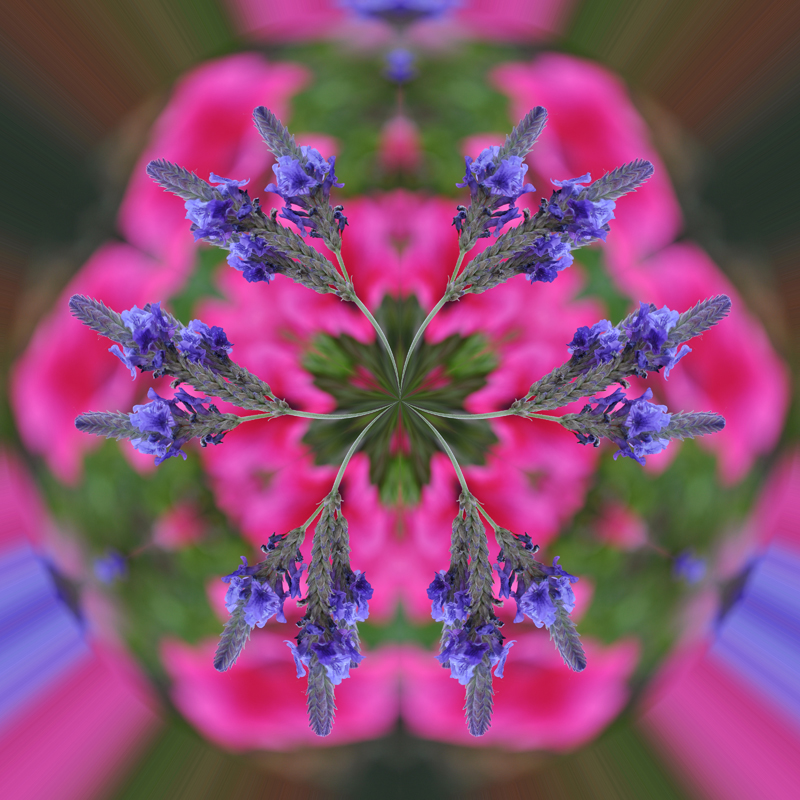 Litle-Planet-079