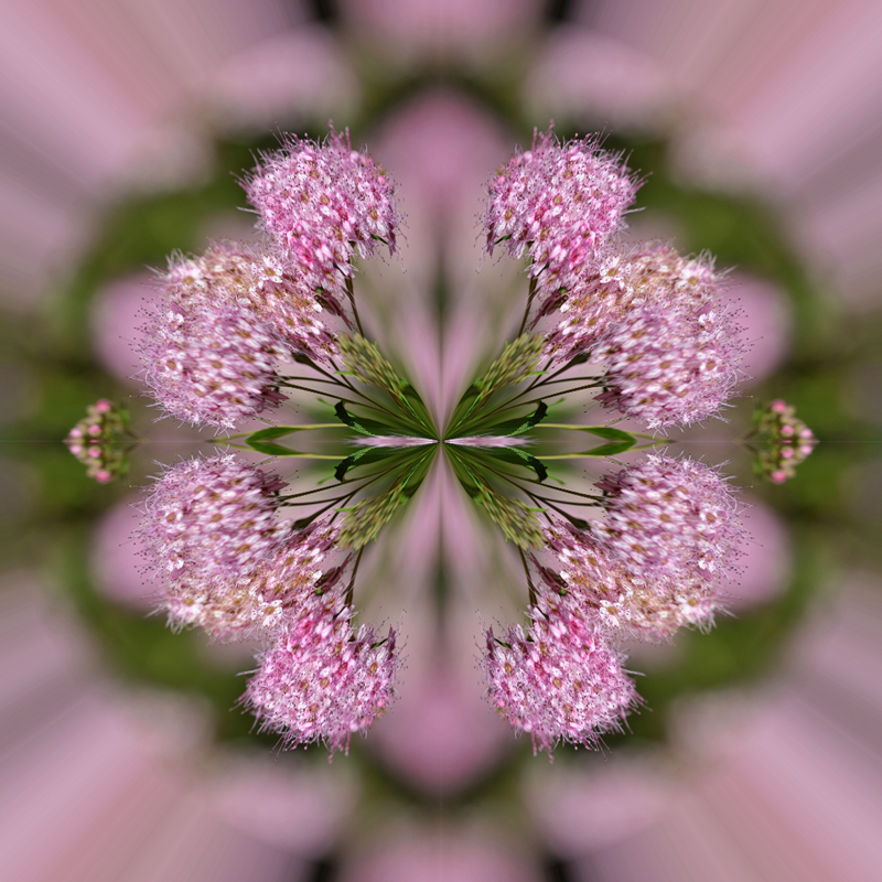 Litle-Planet-089