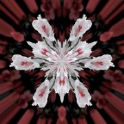 Litle-Planet-030