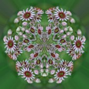 Litle-Planet-055
