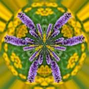 Litle-Planet-062