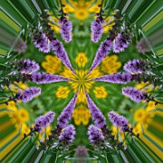 Litle-Planet-063