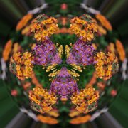 Litle-Planet-076
