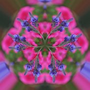Litle-Planet-079