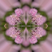 Litle-Planet-089